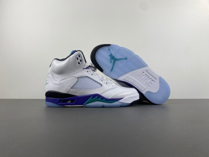 Air Jordan 5 Retro Grape (2025) HQ7978-100