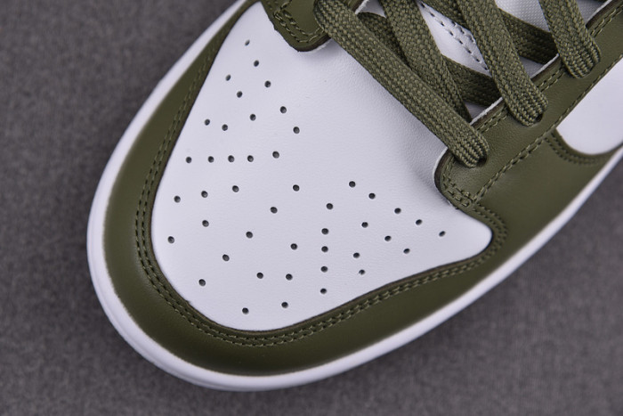 Nike Dunk Low Medium Olive (W) DD1503-120