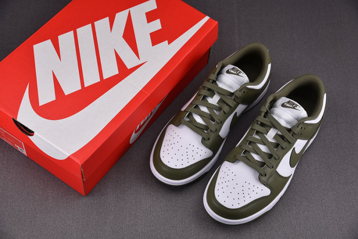 Nike Dunk Low Medium Olive (W) DD1503-120