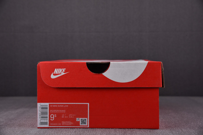 Nike Dunk Low Medium Olive (W) DD1503-120