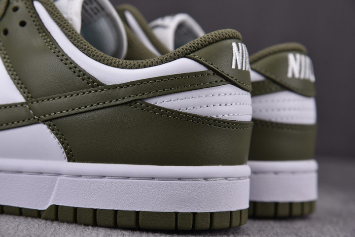 Nike Dunk Low Medium Olive (W) DD1503-120