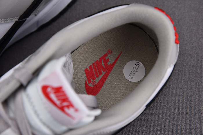 nike dunk low light iron ore (w) dq7576-001