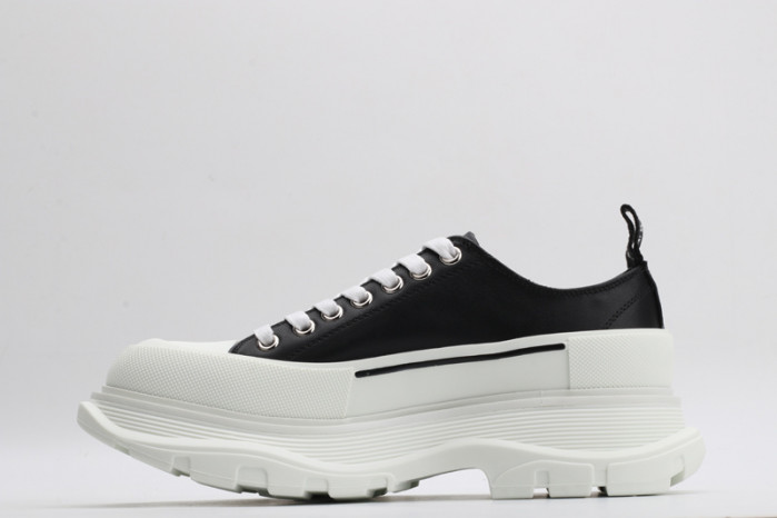 alexander mcq86