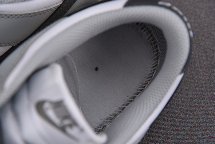 Nike Dunk Low Light Smoke Grey (W) DD1503-117