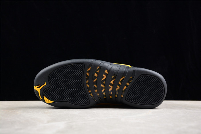 air jordan 12 “black taxi” ct8013-071