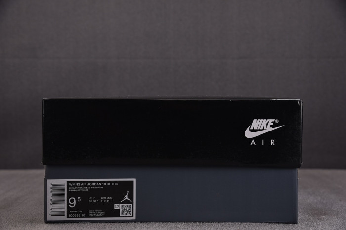 Air Jordan 10 Retro Hydrangeas (Women