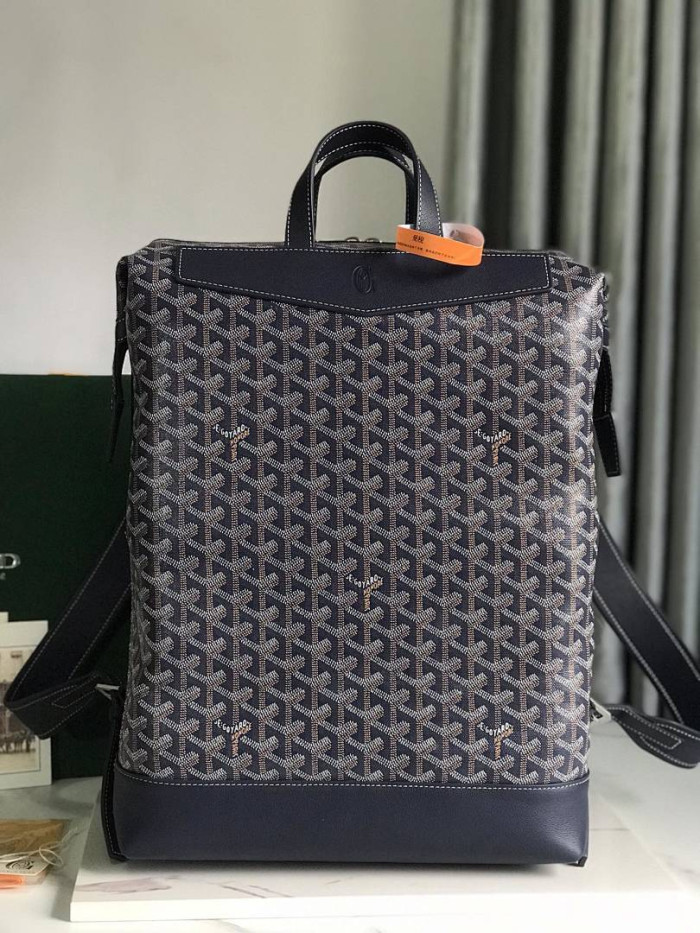 g0ya&d bag (blue)