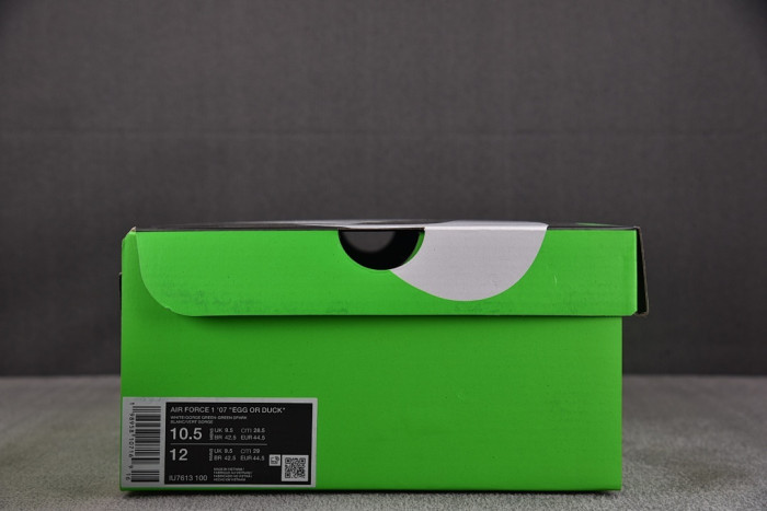 Nike Air Force 1 Low Ducks of a Feather University of Oregon Egg or Duck IU7613-100