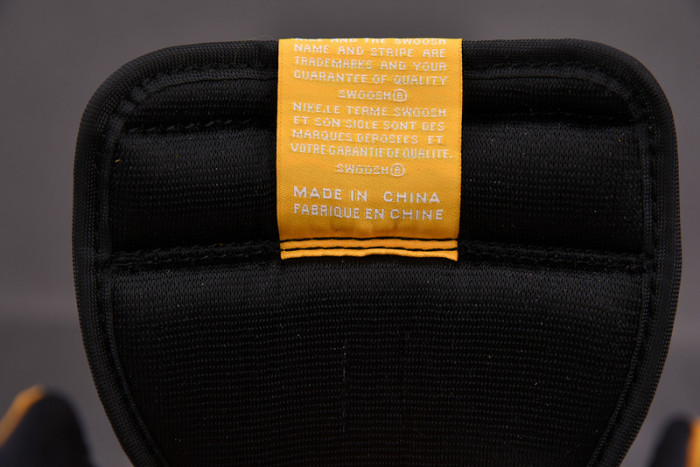 AIR JORDAN 1 HIGH OG “POLLEN” 555088-701